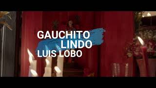 GAUCHITO LINDO LUIS LOBO [upl. by Einnod]