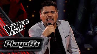 Sebastián Salinas  Tengo mucho que aprender  Playoffs  The Voice Chile [upl. by Odlabso]