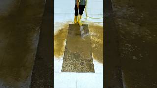 DEEP CLEANING cleaningcarpet satisfying cleaningvideos asmr shorts [upl. by Kamila698]