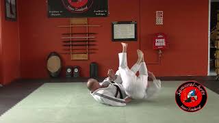 Armlock Kata B [upl. by Yecaj]