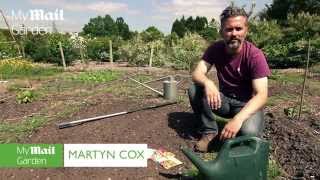 Sowing Hardy Annuals  wwwmymailgardencouk [upl. by Haroun]