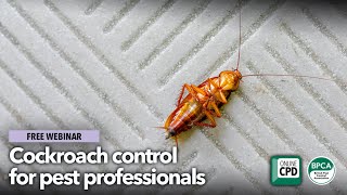 Cockroach control for pest professionals [upl. by Assecnirp222]