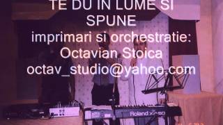 TE DU IN LUME SI SPUNE  Octavian Stoica [upl. by Onailimixam874]