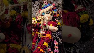 Shri Krishna Bhajan l Suno Krishna Pyaare l Jai Radhe Radhe Krishna Govind l Bhakti Songs l shorts [upl. by Milurd]