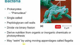 BIOL 2117 Chapter 1  The Microbial World and You [upl. by Sells562]