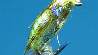 Tying a Small Chunky Caddis Pupa by Davie McPhail [upl. by Pedroza]