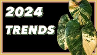 Hottest Plant Trends for 2024 ft onlyplants [upl. by Isahella]