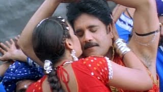 Goldrangu Video Song  Shivamani Telugu Movie  Nagrajuna Rakshita [upl. by Ttoille]