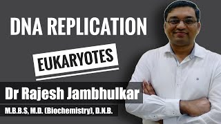 DNA Replication in Eukaryotes Dr Rajesh Jambhulkar MBBSMDDNB [upl. by Lalad]