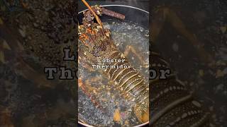 Perfect recipe of Lobster Thermidor thermidor seafood lobster ksa [upl. by Gould188]