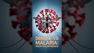 Dengue vs Malaria Know the Difference [upl. by Hauck]