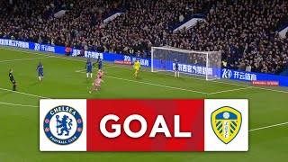 GOAL  Mateo Joseph  Chelsea 01 Leeds United  Fifth Round  Emirates FA Cup 202324 [upl. by Deevan]