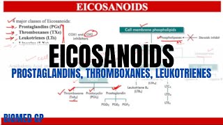 Eicosanoids Prostaglandins Thromboxanes and Leukotrienes [upl. by Rephotsirhc41]