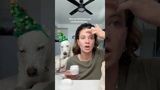 Help me Christmas tree shop🎄🎄 dogshorts grwm makeup dog pets christmas holidays puppy [upl. by Atinuhs]