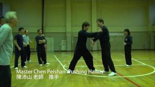 Master Chen Peishan Pushing Hands Vol 1 [upl. by Kenley]