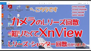 レリーズ回数 シャッター回数知りたくてXnView入れてみました、良い感じです。D850556 AFS NIKOOR 500mm f56E PF ED VR [upl. by Strickland]