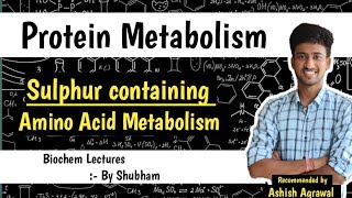 Sulphur Containing Amino Acid Metabolism  Protein Metabolism Biochemistry Lectures [upl. by Adnoel]