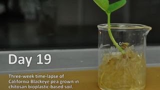 Bioplastics in action Time lapse video [upl. by Sari]