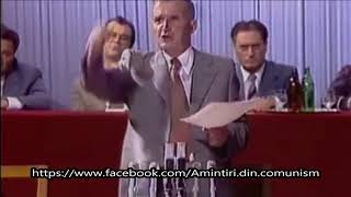 NICOLAE CEAUȘESCU TEZELE DE LA MANGALIA 3 AUGUST 1983 DISCURS CULTURA ROLUL ARTEI IN COMUNISM [upl. by Anhavas]