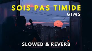 GIMS  Sois pas timide  Slowed amp Reverb [upl. by Nryhtak]