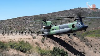 US Army and Japanese Military Tactical Combat in massive training [upl. by Ahsinek]