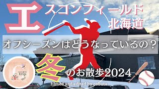 日ハム新球場⚾️｜冬のエスコンフィールド散歩👣子連れでも楽しいスタジアム🏟️オフシーズンはどうなっているの？？ [upl. by Jezreel93]