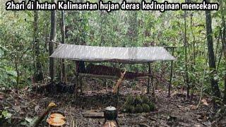 Camping 2hari tengah hutan Kalimantan hujan deras kedinginan mencekam [upl. by Lierbag]