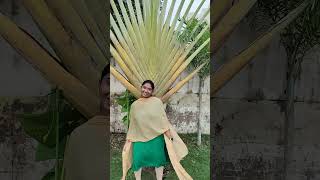 Garuku chupu song tamil song music tamilsong comedy [upl. by Anoli]