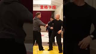 quotRedirect Control and Take Down SelfDefense Techniquesquot kungfutechniquechinna chinesekungfu [upl. by Estrin]