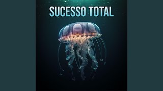 Sucesso Total feat Beats de Felicidades [upl. by Odlaner]