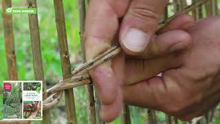 Tresser le saule  cabanes tunnels tontines Par Terre vivante [upl. by Lindsley]