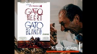 Kitustrailers  GATO NEGRO GATO BLANCO Trailer en Español [upl. by Busby]