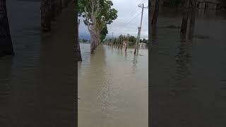 banjir 2022 bayawulung [upl. by Heimlich]