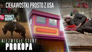 CIEKAWOSTKI z USA ⭐🦅  Niezwykłe Stany Prokopa [upl. by Tillford909]