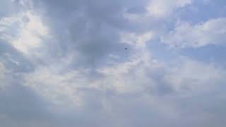 RC Plane Flying [upl. by Anilorac]