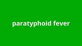 what is the meaning of paratyphoid fever [upl. by Wonacott892]