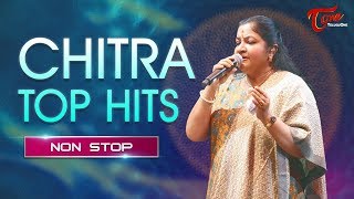 Chaitra Mahina Ma Ahirani Song  Saptashrungi Devi Songs  Sachin Kumavat [upl. by Apostles]