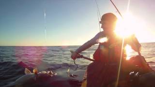 Kayak fishing for NZ Groper  Hapuku with Viking Kayaks NZ [upl. by Finley]