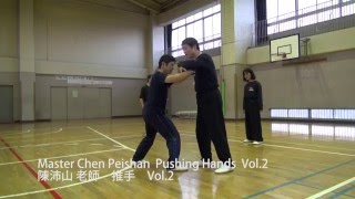 Master Chen Peishan Pushing Hands Vol 2 [upl. by Corissa]