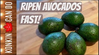 Fastest Way to Ripen Avocados  5 Hacks Tested amp Reviewed [upl. by Atinit]