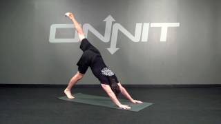 Elevated Scorpion Bodyweight Exercise [upl. by Frissell481]