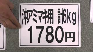 釣行費用を抑えるならアミエビを使おう！ [upl. by Irrak183]