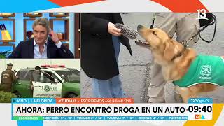 Con perros antidrogas inician las fiscalizaciones en La Florida Tu Día Canal 13 [upl. by Wira702]