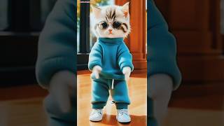 So Sweet Cute Cat Video Dance Kaisa Laga Comment Karke Jarur Batana shrots cute shortfeed [upl. by Aihtiekal]