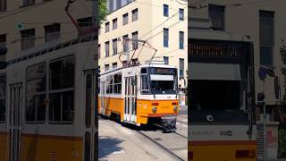 Tatra T5C5 tram in Budapest Hungary 🇭🇺 [upl. by Ramahs571]