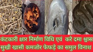 कंटकारी क्षार निर्माण विधि एवं उसके फायदे how to make kantrari recipe kantkari sharlavan benefits [upl. by Gabler]