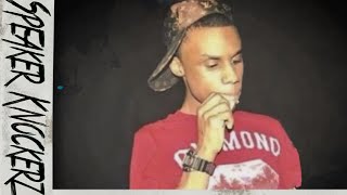 The REAL Speaker Knockerz Story Documentary [upl. by Norri]