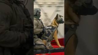 The Most Important War Dogs In History 🤯 wardog militarystories usarmy [upl. by Narol357]