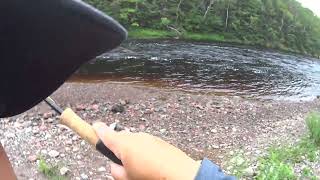 Fly fishing Atlantic salmon Cheticamp river Cape Breton Nova Scotia 20230724 [upl. by Nyletac]