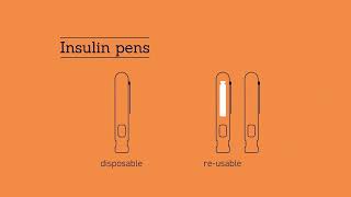 Insulin Pen Introduction [upl. by Norak]